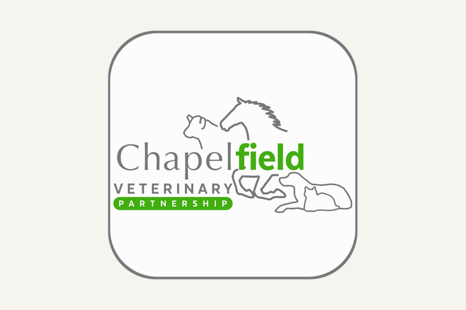 Chapelfield Veterinary Partnership Norwich